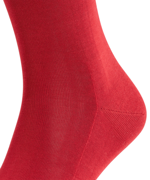 Носки мужские Men socks Tiago FALKE, цвет: бордовый 8596 14792 купить онлайн