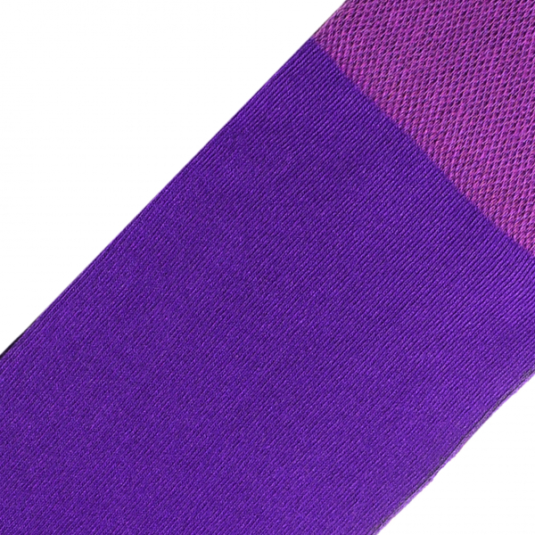 Носки Premium Tezido, цвет: фиолетовый Т112, 36-40 купить онлайн