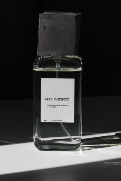 Парфюмерная вода селективная Late checkout L.N Atelier Parfumes  купить онлайн